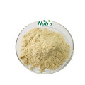 Natural Gynostemma pentaphyllum Extract